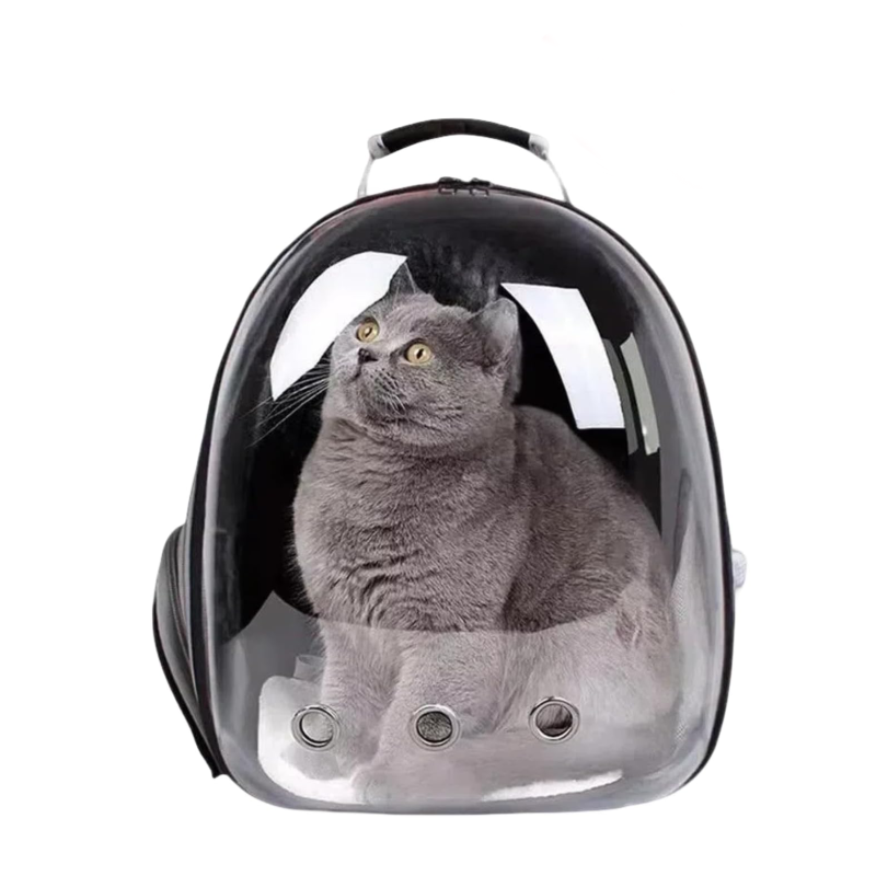 Cat Backpack Supplier - Wholesale Large Capacity Transparent