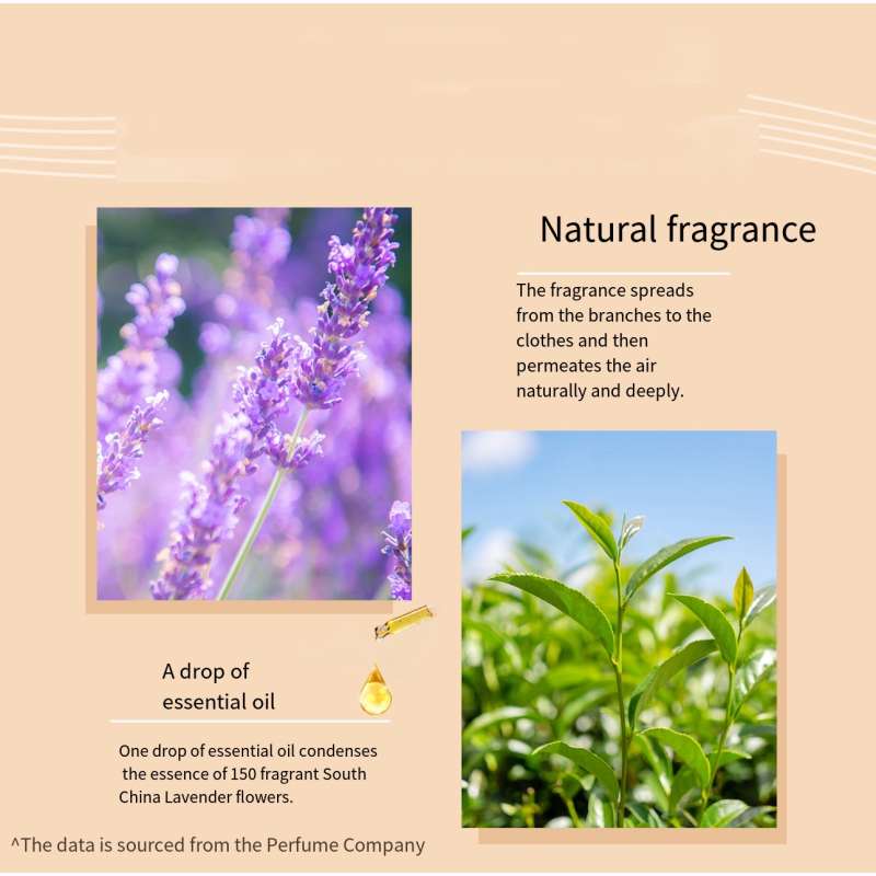 Laundry Detergent Factory - Skin Friendly Long Lasting