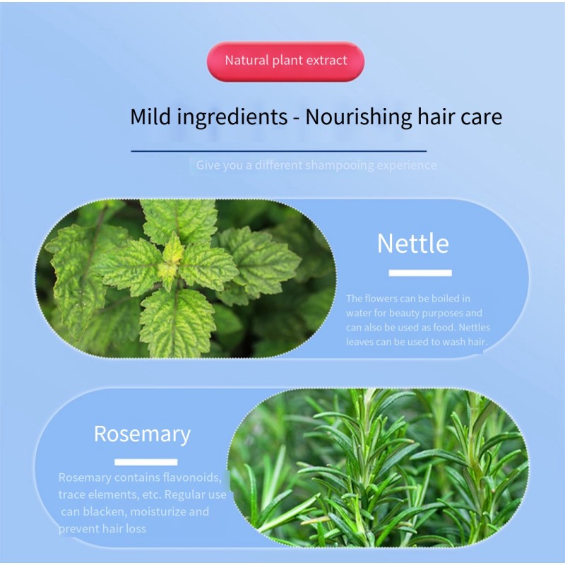 Shampoo Supplier - Custom Logo Personal Care Scalp