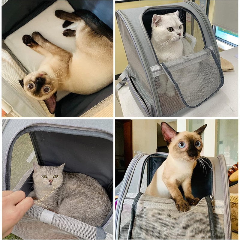 Pet Backpack Manufacturer - New Large Size Portable