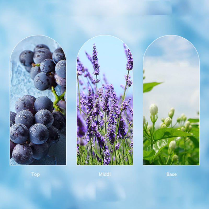 Shampoo Factory - High Quality Herbal Plant Extract