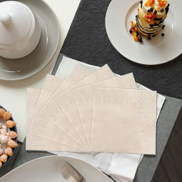 Paper Napkins Manufacturer - High Quality Custom Logo Printed Square Bamboo Pulp Napkins Disposable Modern Style