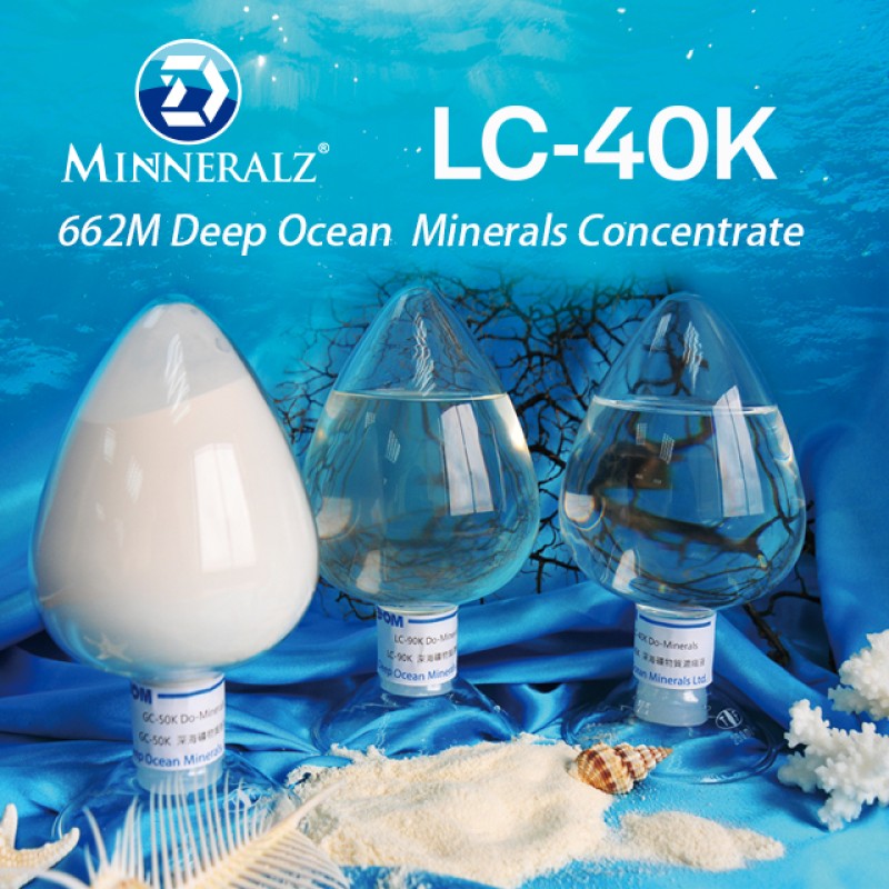 Taiwan Natural Health Supplement Factory - Deep Sea Minerals for Wellness Support