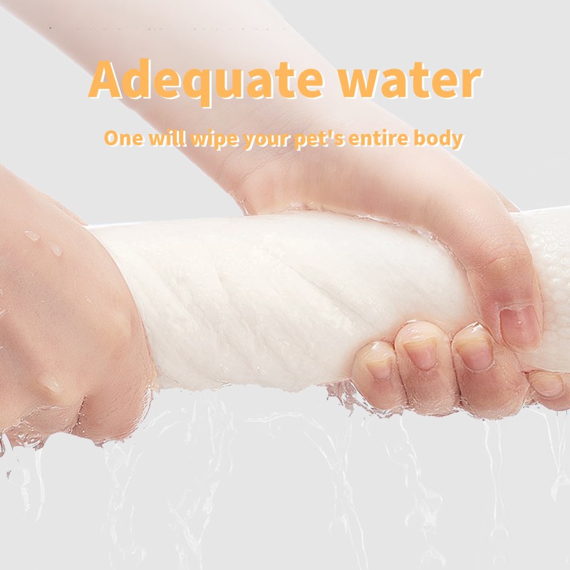 Wet Wipes Manufacturer - Direct Factory Sale Customized Logo Pattern on Enlarged and Thickened Wet Wipes