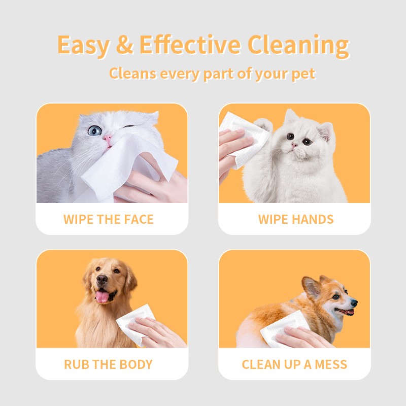 Wet Wipes Supplier - Pet Cleaner Disposable Customized Wet Wipes Serrated Packaging Direct Sales EDI Pure Water