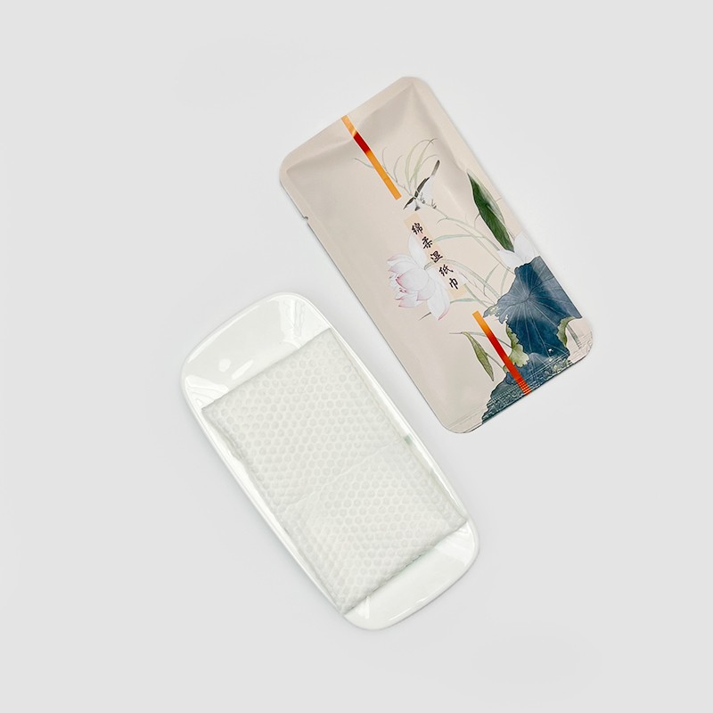 Cleansing Wipes Factory - High-End Disposable Non-Woven Cleansing Wipes Premium for Cleaning