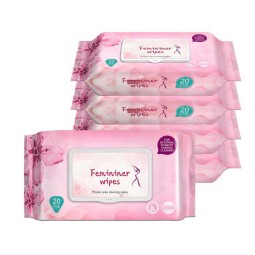 Women's Care Wipes Manufacturer - Factory Price Private Daily Cleaning