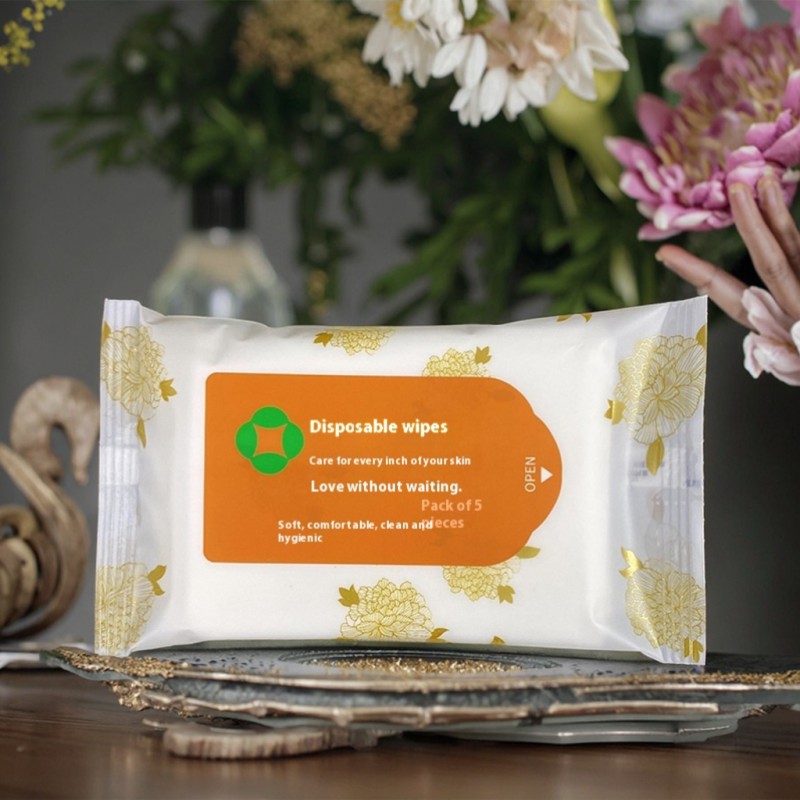 Wet Wipes Manufacturer - Factory Supported 5-Pcs Advertising Catering