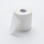 Sanitary Paper