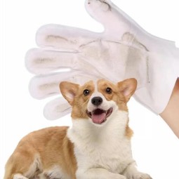 Pet Gloves Wipes Manufacturer - Biodegradable Organic Pet Gloves Finger Teeth Ear Eye Cleaning Wet Wipes
