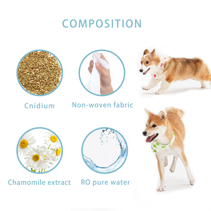 Pet Gloves Wipes Manufacturer - Biodegradable Organic Pet Gloves Finger Teeth Ear Eye Cleaning Wet Wipes