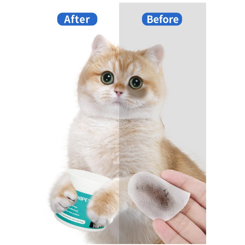 Pet Ear Wipes Factory - Wholesale Customized Cheap Price Biodegradable Pet Ear Wipes Original Aloe Vera