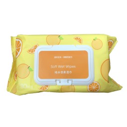 Baby Wipes Manufacturer - OEM Brand Soft Cleaning Toilet Wet Flushable Wipes German Poland Biodegradable Disposable Water