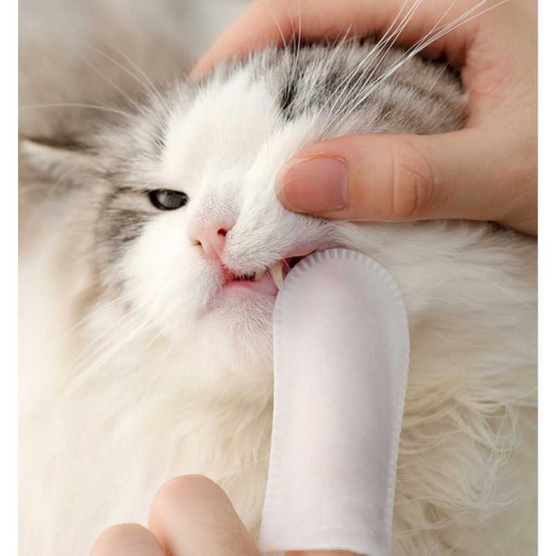 Pet Tooth Wipes Manufacturer - Deodorizing Dog Body Care