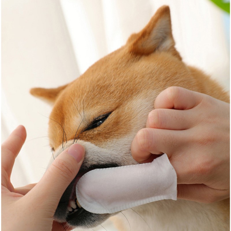 Pet Tooth Wipes Manufacturer - Deodorizing Dog Body Care