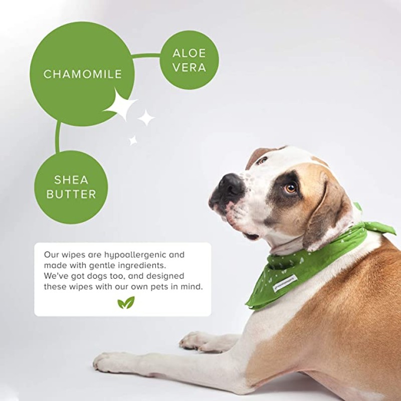 Pet Cleaning Wipes Supplier - 20 Pcs Travel Biodegradable Dog