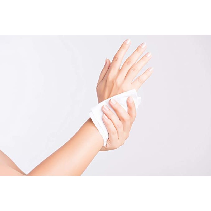 Biodegradable Hand Wipes Supplier - 30 Counts Travel Pack Refresh