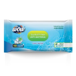 Pocket Wipes Manufacturer - 10 Counts Multifunctional Travel Hygiene