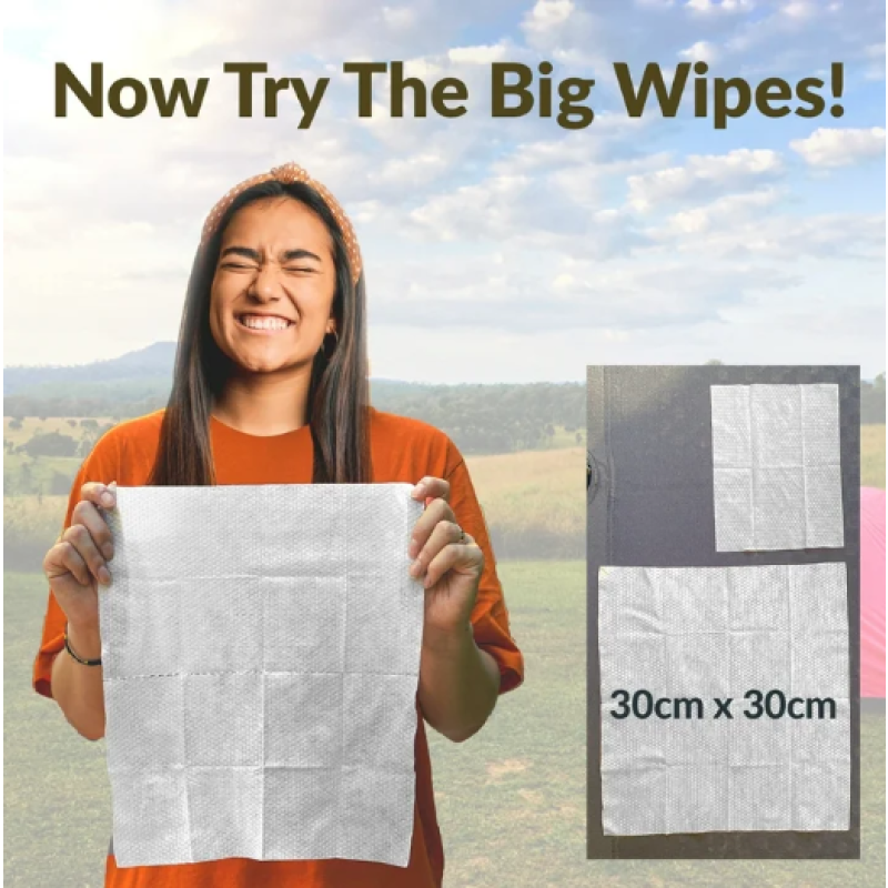 Body Cleaning Wipes Factory - Biodegradable Plant Refresh Shower