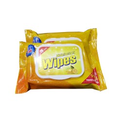 Anti Bacterial Wipes Manufacturer - Travel Pack Moist Hand Deodorant