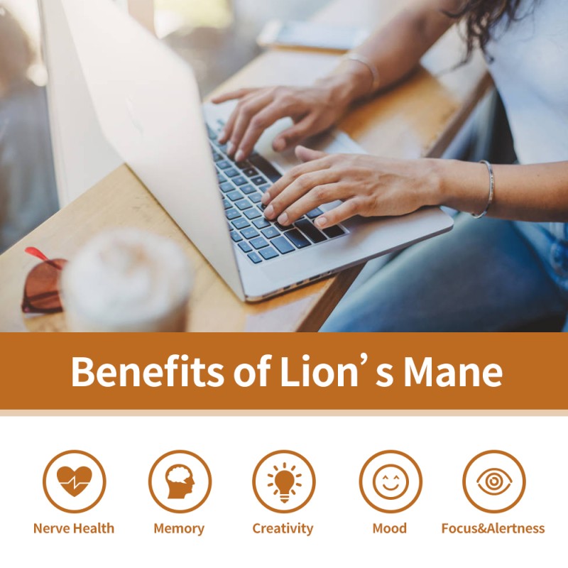 Hericium Erinaceus Extract Powder Factory - EU/USDA Organic Certified Custom Formula