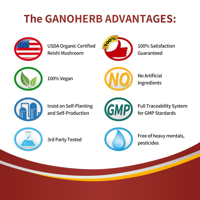 Organic Ganoderma Lucidum Extract Powder Manufacturer - OEM Custom Formula No Fillers Additives