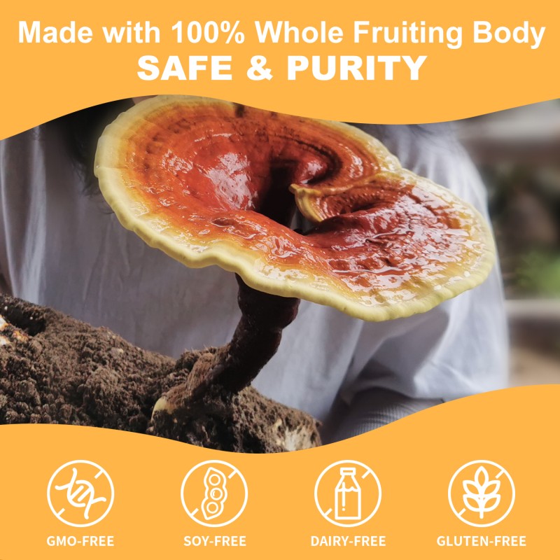 USDA Organic Reishi Mushroom Powder Manufacturer - OEM Custom with 4% Triterpenes