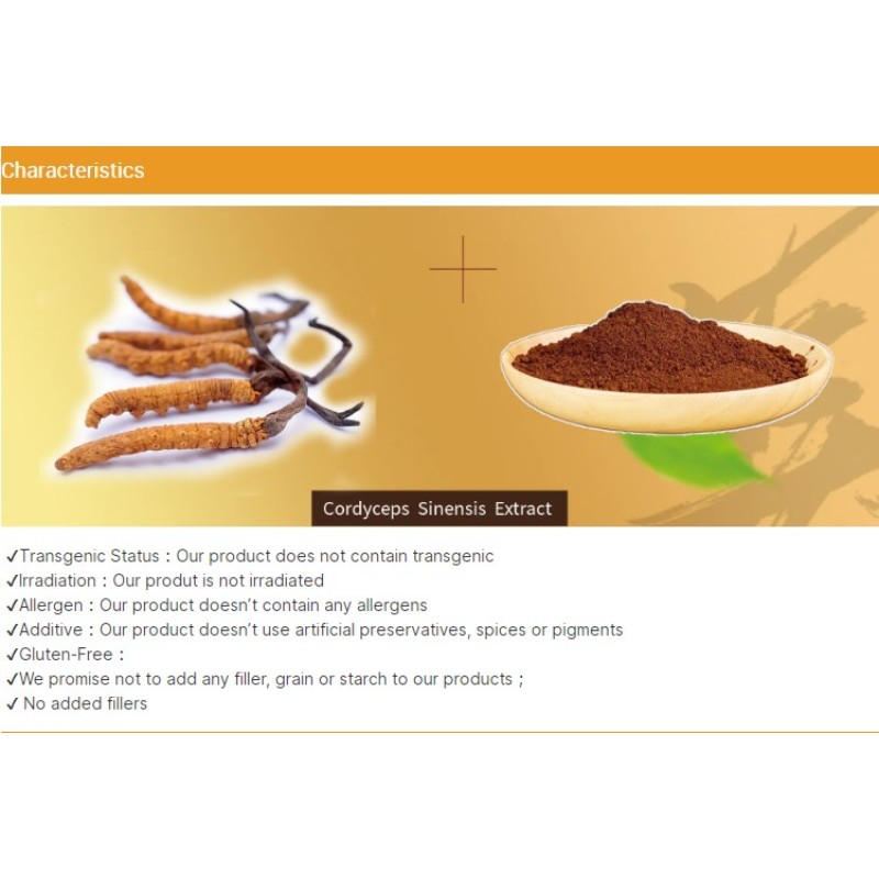 Pure Cordyceps Sinensis Mycelium Capsules Factory Direct - OEM Herbal Formula Daily Health Supplement