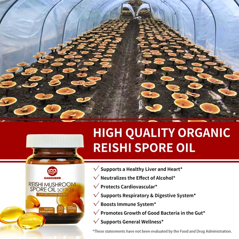 EU Organic Ganoderma Spore Oil Softgel Capsules Supplier - OEM Custom Easy to Swallow