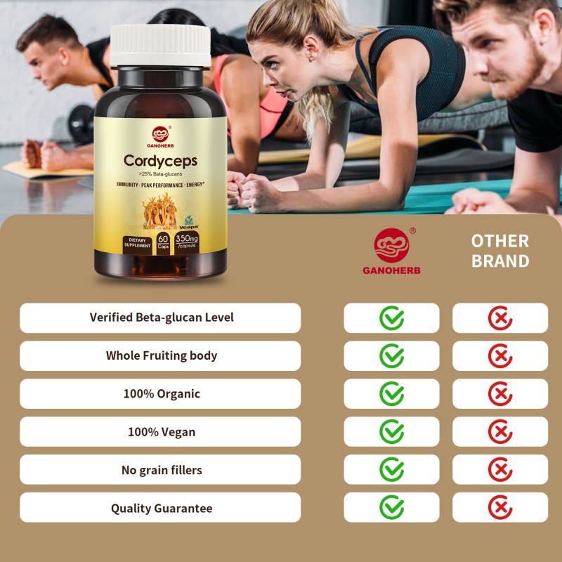 Cordyceps Militaris Capsules Manufacturer - OEM Wholesale for Vegetarians GMP Certified 350mg