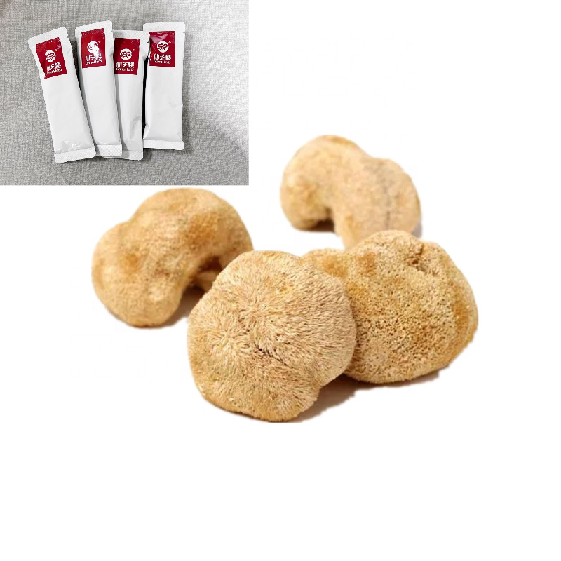 Hericium Erinaceus Extract Powder Factory - EU/USDA Organic Certified Custom Formula