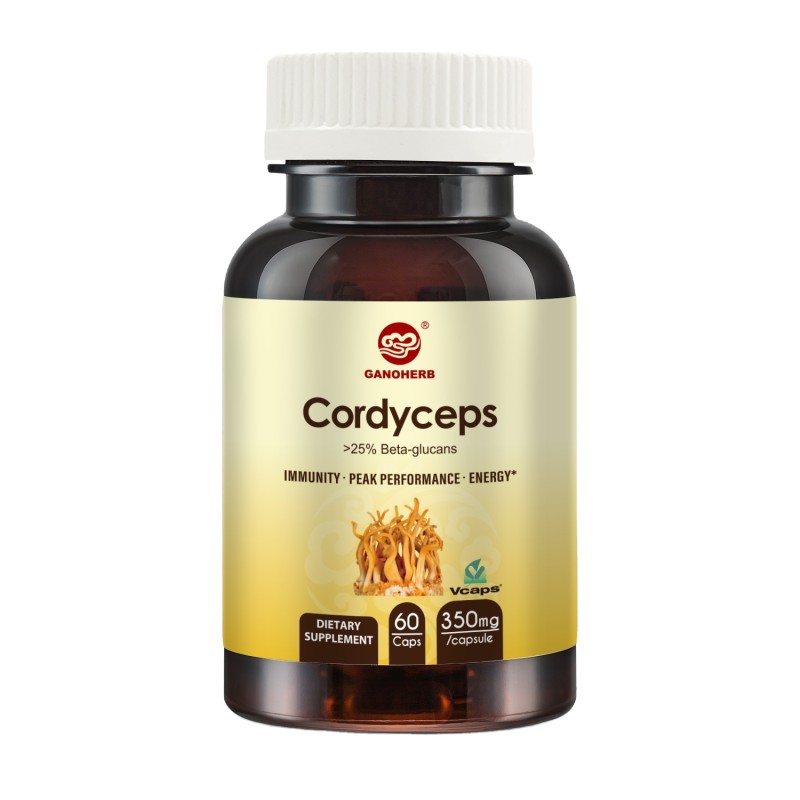 Cordyceps Militaris Capsules Manufacturer - OEM Wholesale for Vegetarians GMP Certified 350mg