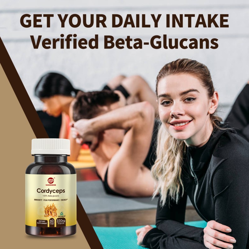 Cordyceps Extract Capsules Wholesaler - OEM Herbal Supplement for Immune and Energy Support