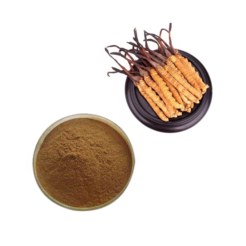 Pure Cordyceps Sinensis Mycelium Capsules Factory Direct - OEM Herbal Formula Daily Health Supplement