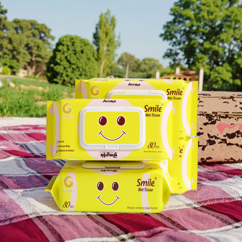 Baby Wet Wipes Supplier - Cheap Eco-Friendly Alcohol-Free Aloe