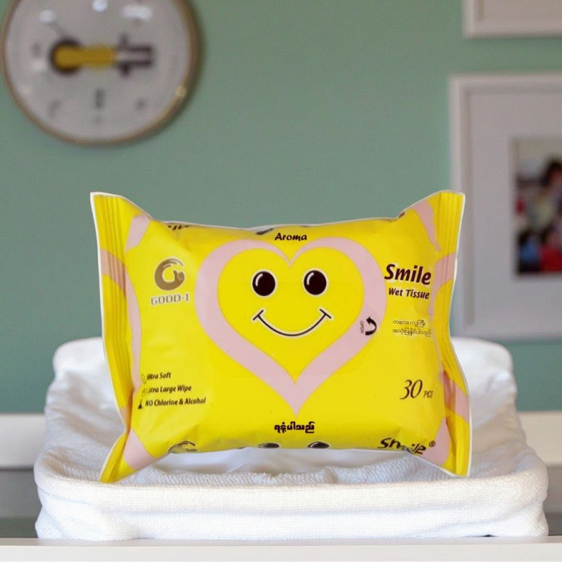 Anti-Mosquito Wipes Factory - OEM Natural Aloe Vera Repellent