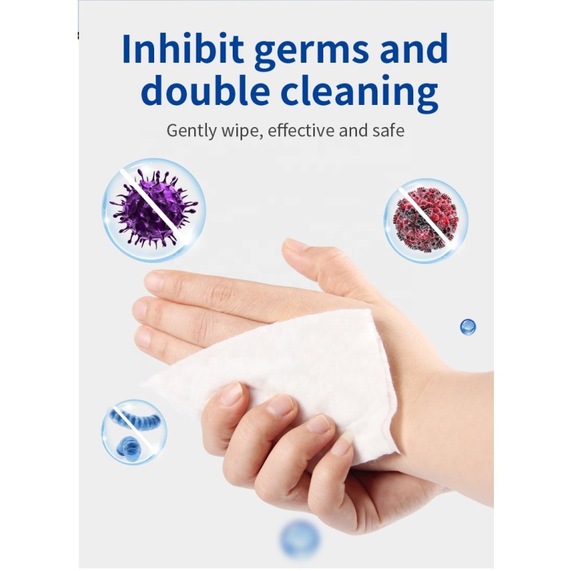 Alcohol Wipes Supplier - RTS 10 Bags 75% Germisept Disfectant