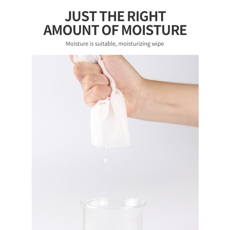 Disinfectant Wipes Supplier - Customization 50Pcs Antiseptic Sanitizing