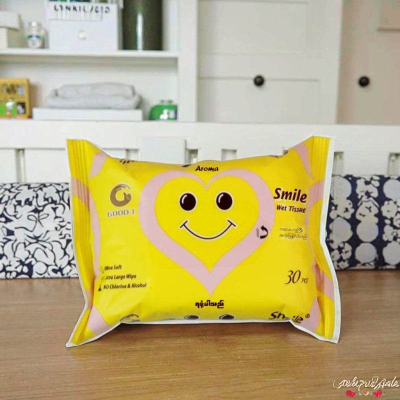 Anti-Mosquito Wipes Factory - OEM Natural Aloe Vera Repellent