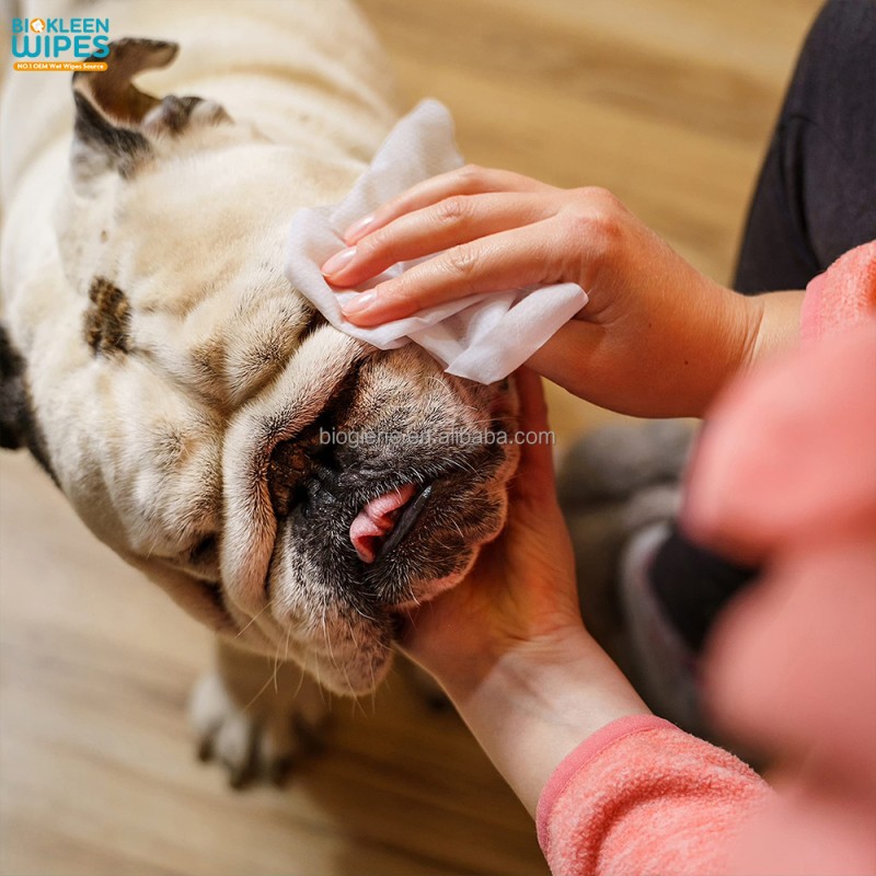 Dog Wipes Supplier - Biokleen Custom Free Sample 110 Count 20cm X 20cm 100% Biodegradable Fragrance Free Pet Dog Wipes