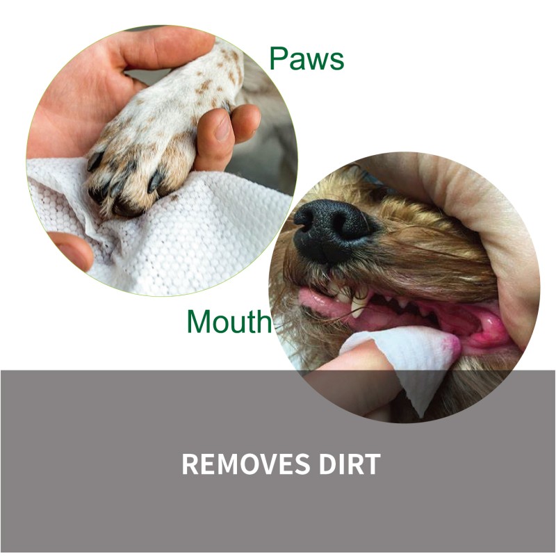 Pet Wipes Manufacturer - Biokleen 80ct ODM Organic Biodegradable Bamboo Puppy Clean Grooming Wet Wipe Paw Ear Eye