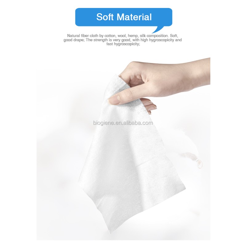 Multi-Purpose Wipes Supplier - Biokleen Bulk Convenient 100ct Dog Wipes Pet Wipes Multi-Purpose Wet Wipes for Keeping