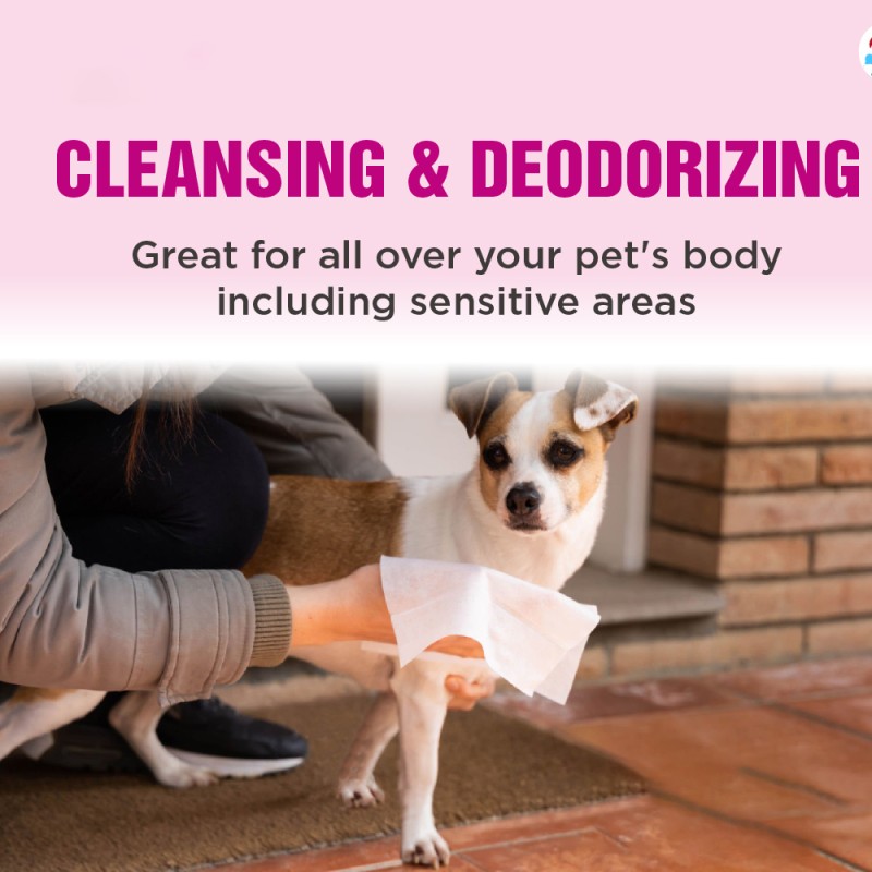 Pet Wet Tissue Manufacturer - Biokleen High Quality 100pcs Pet Wipes for Puppies Dog Deodorant Wipes Pet Wet Tissue