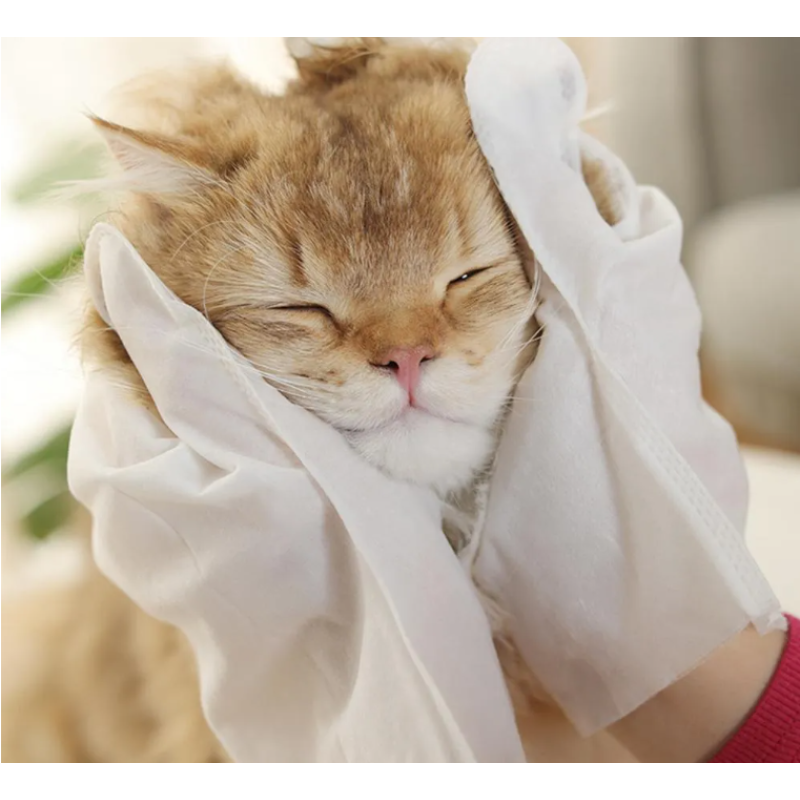 Pet Glove Wipes Manufacturer - Biokleen 10pcs Private Label Brands Extra Large for Bathing Moisturizing Pet Glove Wipes