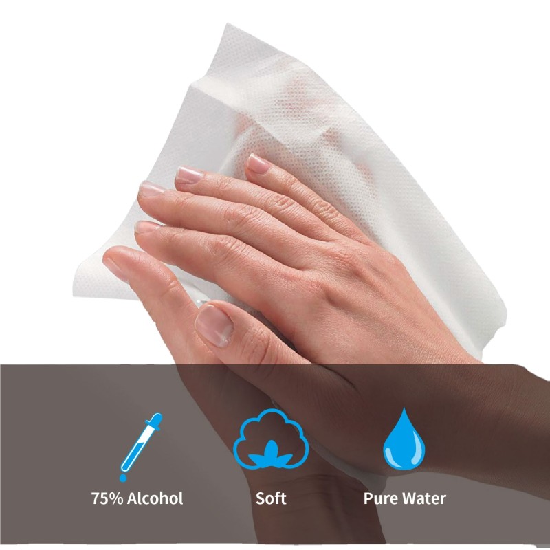 Antibacterial Wipes Manufacturer - Biokleen Private Label OEM 100PCS Clean Fresh Hand Antibacterial Cleaning Wet Wipes