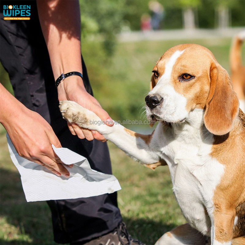 Pet Wipes Supplier - Biokleen 80PCS Free Sample Pet Wipes Dog Ear Vitamin E Dog Wipes Cleaning Pet Wet Wipes