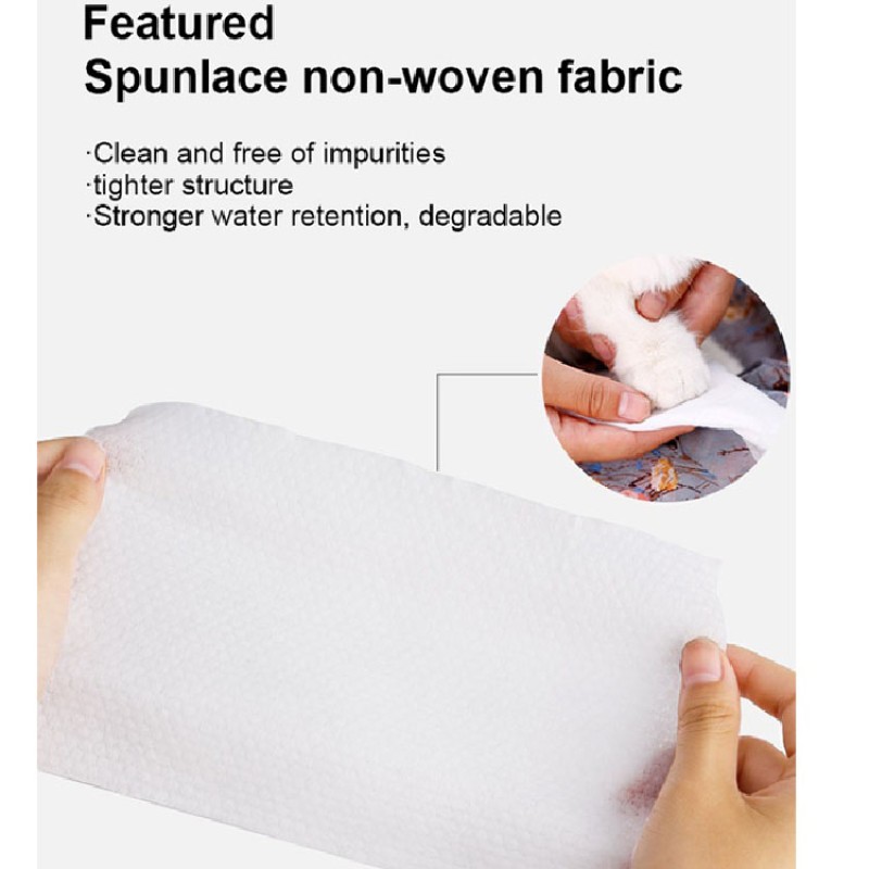 Dog Wipes Supplier - Biokleen Custom Free Sample 110 Count 20cm X 20cm 100% Biodegradable Fragrance Free Pet Dog Wipes