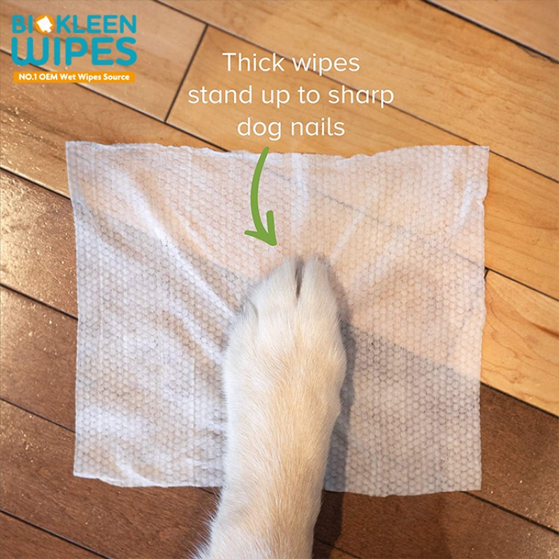 Cleaning Wipes Supplier - Biokleen Great Quality 100pcs Safe Ingredients Puppy Cleaning Wipes Pet Safe Wet Wipes