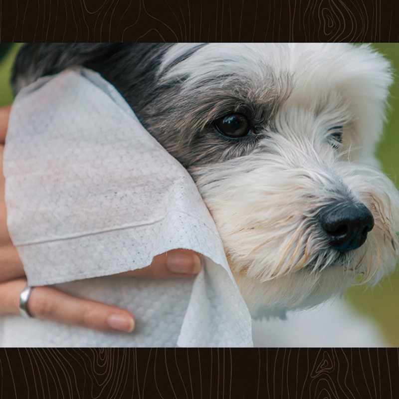 Deodorizing Wipes Factory - Biokleen Private Label 100ct Dog Deodorizing Wipes Pet Grooming Wipes