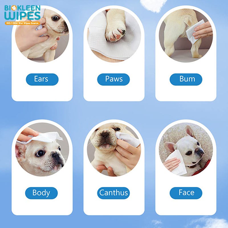 Pet Glove Wipes Manufacturer - Biokleen 10pcs Private Label Brands Extra Large for Bathing Moisturizing Pet Glove Wipes